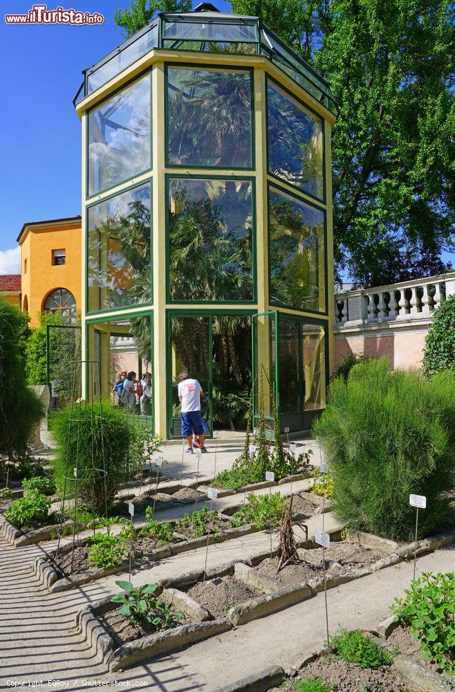 Immagine Una grande serra dell'Orto Botanico di Padova, Veneto. Il giardino è stato istituito ufficialmente dal Senato della Repubblica Veneta - © EQRoy / Shutterstock.com