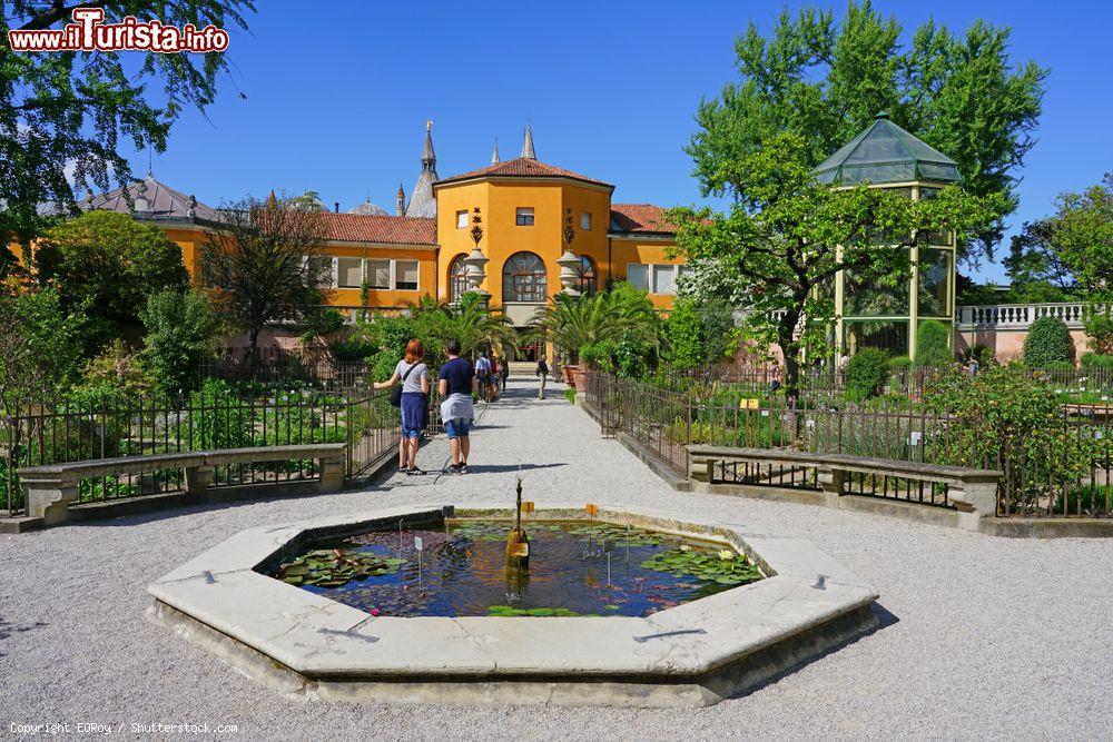 Immagine Veneto, veduta dell'Orto Botanico di Padova, patrimonio dell'umanità dell'Unesco. Occupa un'area di circa 2,2 ettari e ospita una vasta collezione di piante e fiori - © EQRoy / Shutterstock.com