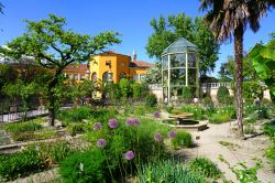 Padova, uno scorcio dell'Orto Botanico (Veneto). E' considerato l'orto da cui hanno avuto origine tutti i giardini botanici del mondo - © EQRoy / Shutterstock.com