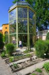 Una grande serra dell'Orto Botanico di Padova, Veneto. Il giardino è stato istituito ufficialmente dal Senato della Repubblica Veneta - © EQRoy / Shutterstock.com