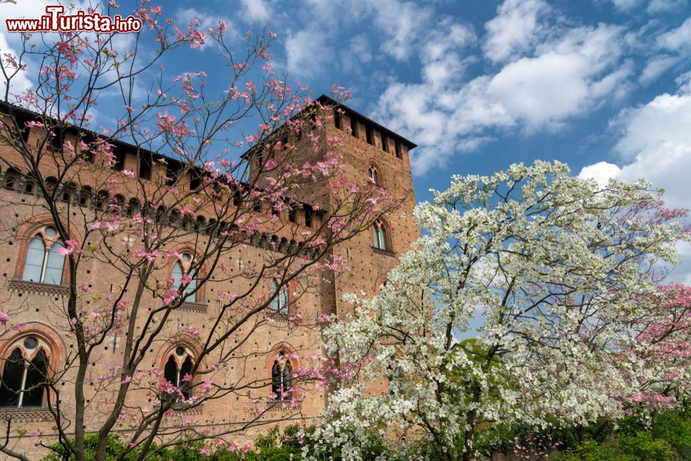 Cosa vedere e cosa visitare Castello Visconteo