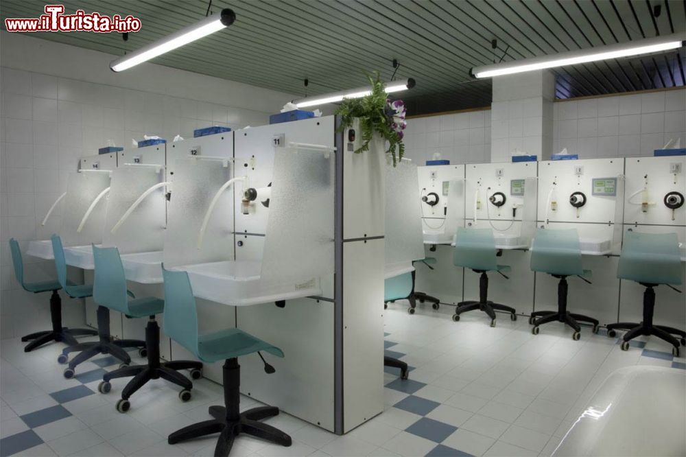 Immagine Core ialatorie allo stabilimento termae delle Terme di Rabbi in Trentino