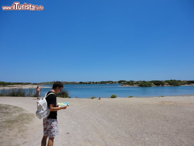 Immagine Il Parque Natural de lAlbufera