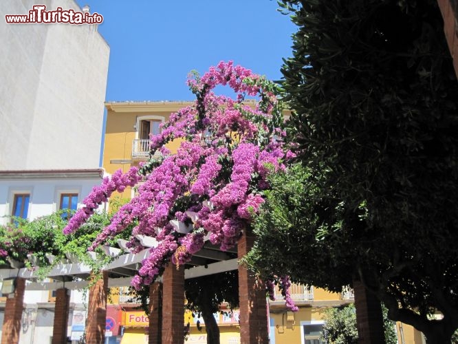 Immagine Piazza a Denia