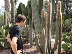 Piante grasse al Jardin Botanico