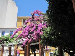 Piazza a Denia