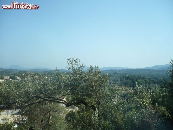 Tutta l'isola di Corf  verdeggiante e ricca di ulivi secolari, con paesaggi e vedute incredibili.