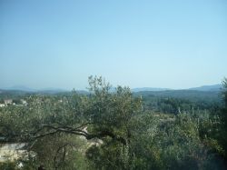 Tutta l'isola di Corf  verdeggiante e ricca ...