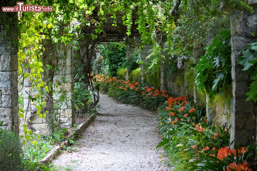 Immagine Uno scorcio di un sentiero nel verde a Villa Hanbury di Ventimiglia, Riviera di Ponente