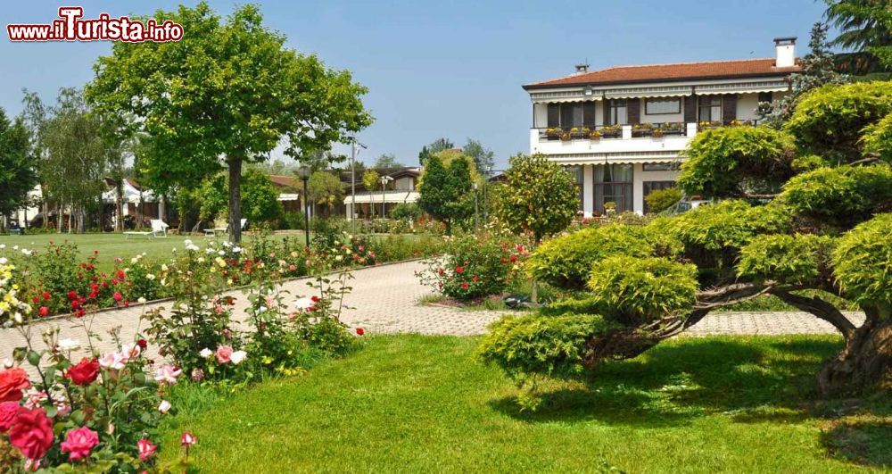 Immagine Ingresso e parco delle Terme Palatini a Salzano in Veneto