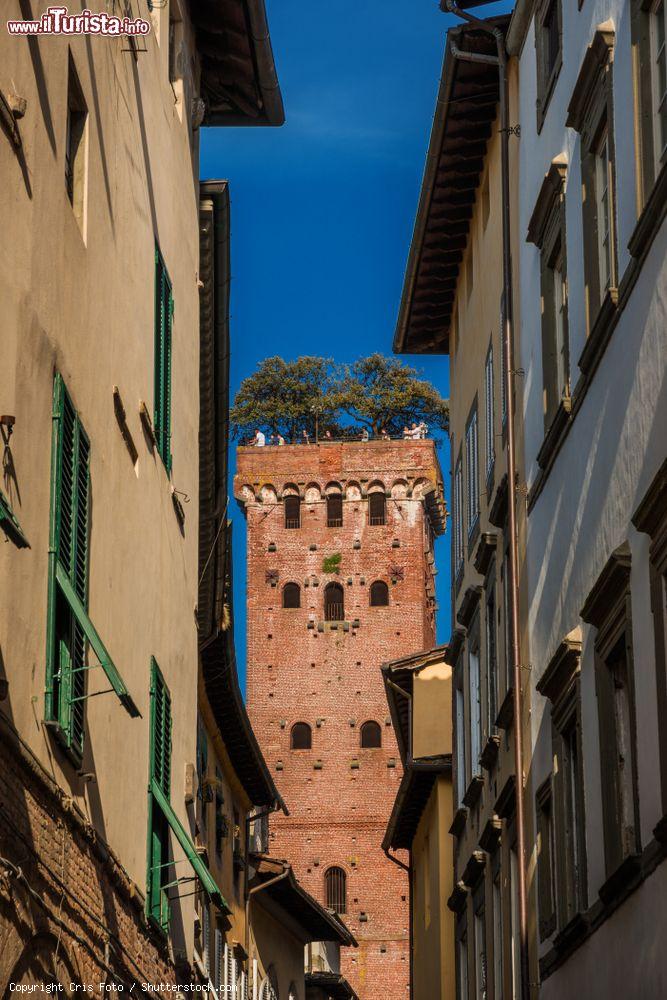 Immagine La medievale torre Guinigi con le sue querce fotografata da una strada del centro storico di Lucca - © Cris Foto / Shutterstock.com