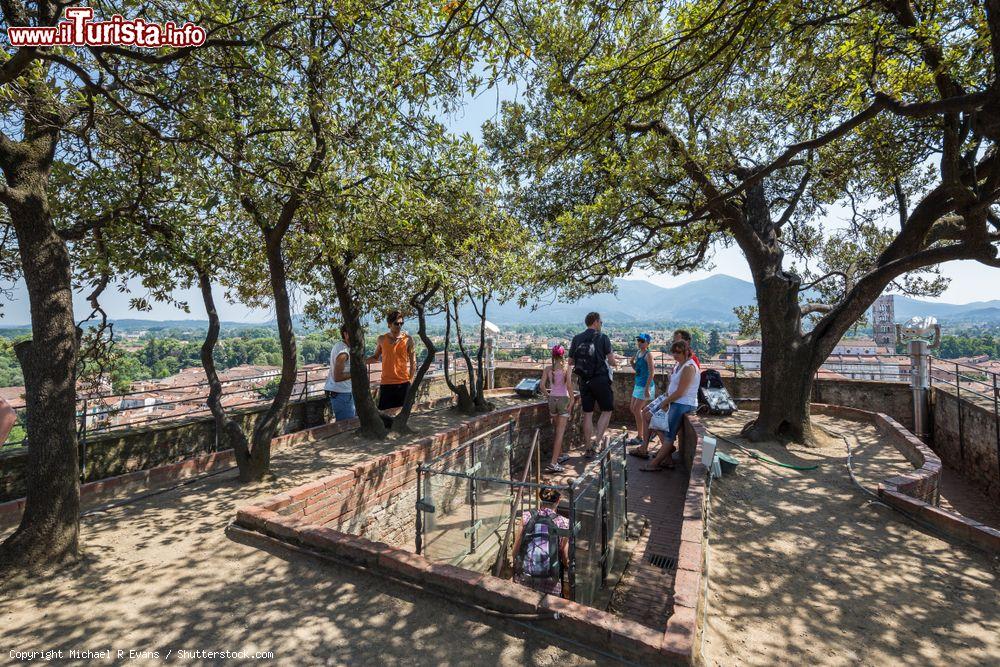 Immagine La spettacolare terrazza panoramica della Torre Guinigi in centro a Lucca, con una magnifica vista sul cuore della città della Toscana- © Michael R Evans / Shutterstock.com