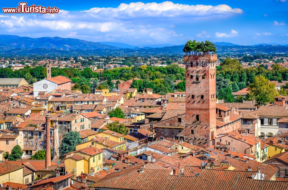 Immagine La Torre di Guinigi nel centro di Lucca, fotografata dalle Torre delle Ore