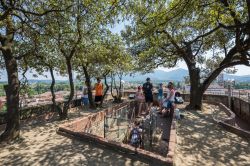 La spettacolare terrazza panoramica della Torre Guinigi in centro a Lucca, con una magnifica vista sul cuore della città della Toscana- © Michael R Evans / Shutterstock.com