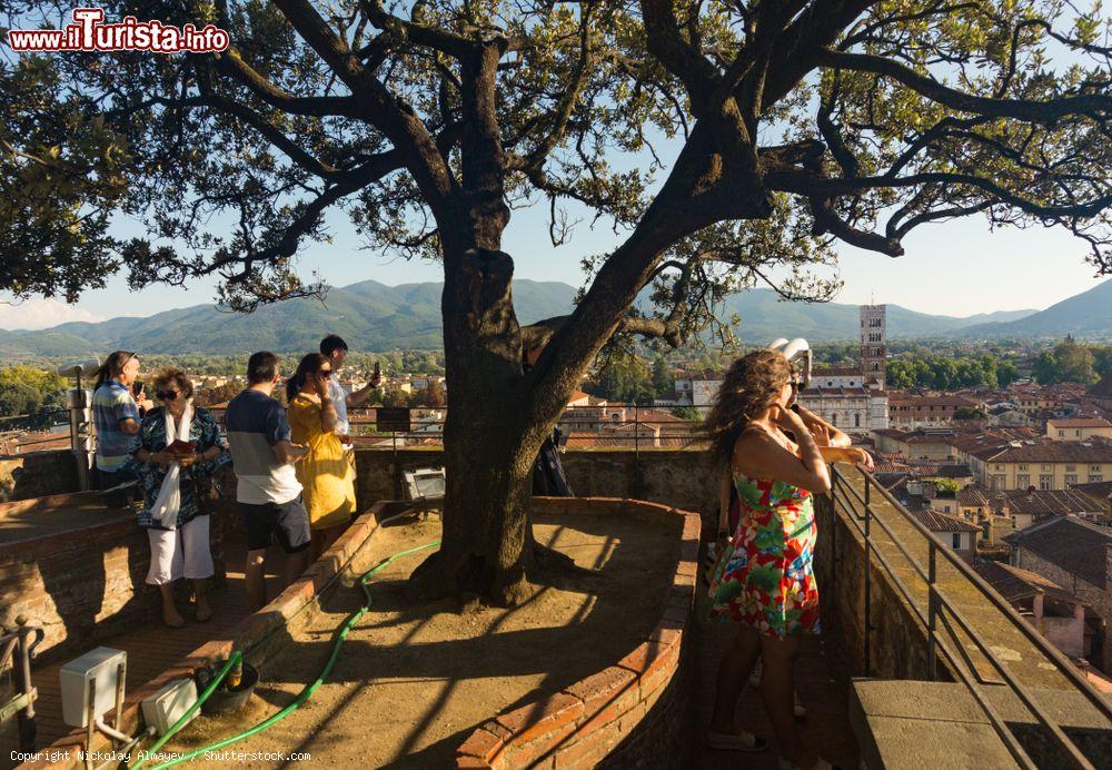 Immagine Turisti contemplano Lucca dalla terrazza sommitale di Torre Guinigi - © Nickolay Almayev / Shutterstock.com