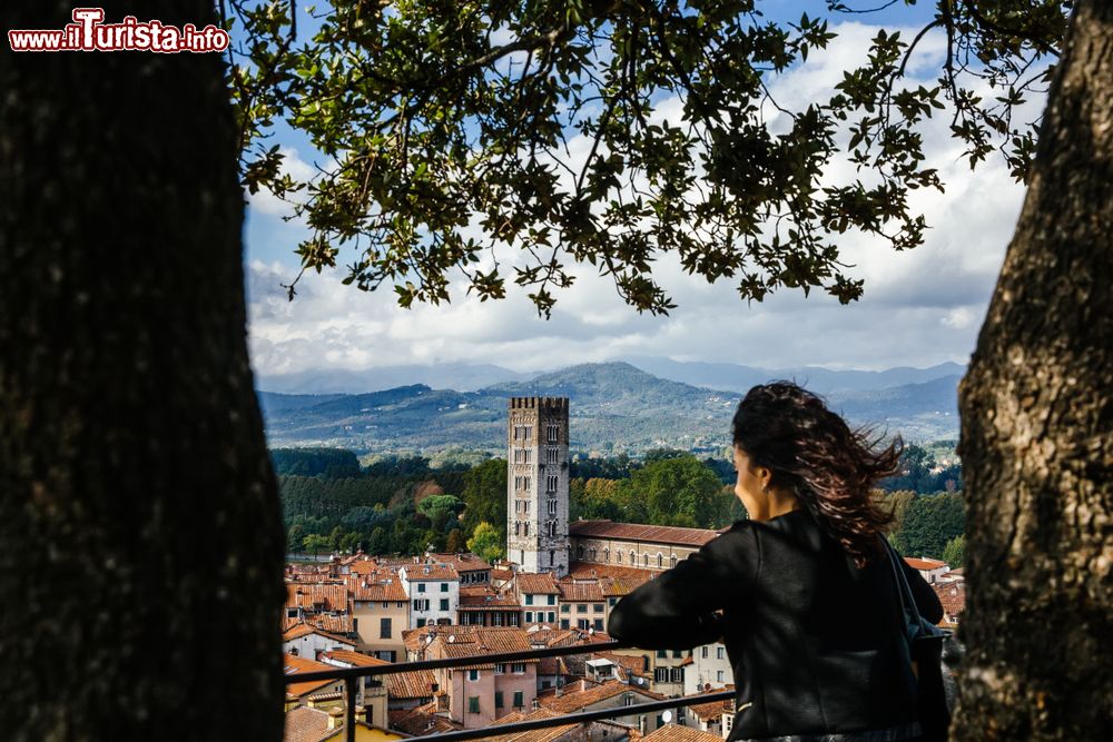 Immagine Una turista sulla cima di Torre Guinigi contempla Lucca, in Toscana