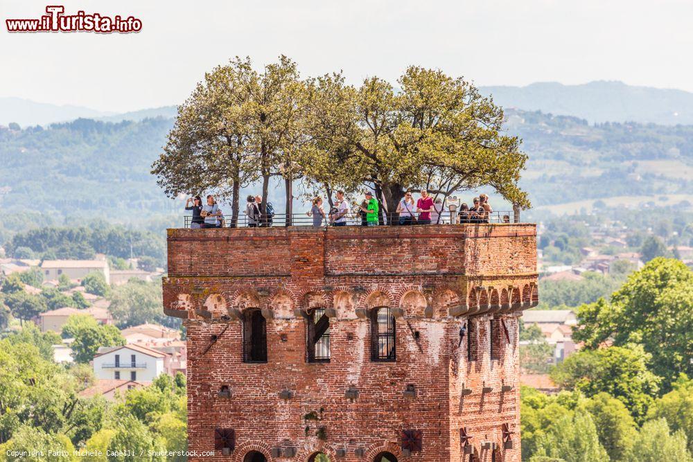 Immagine Uno dei simboli di Lucca, la Torre Guinigi con i sui alberi sulla cima - © Fabio Michele Capelli / Shutterstock.com
