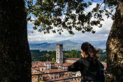 Una turista sulla cima di Torre Guinigi contempla Lucca, in Toscana