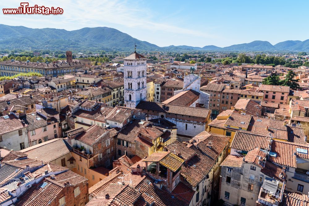 Immagine Il panorama che si ammira dalla Torre delle Ore di Lucca, com la Basilica di San Michele
