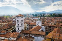 Vista aerea della Chiesa di San Michele in Foro in centro a Lucca, Toscana