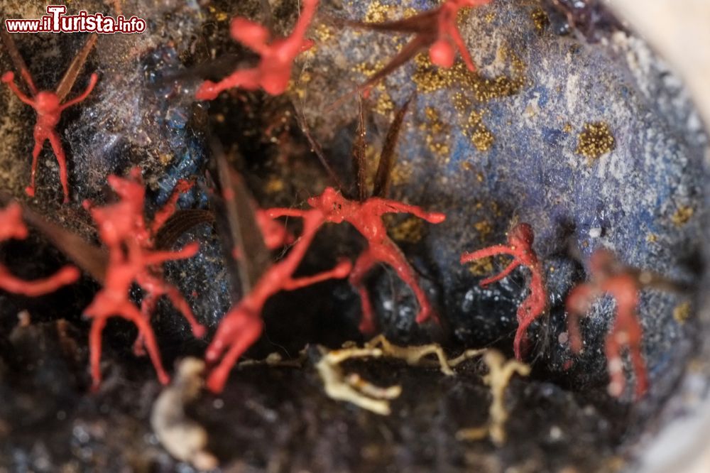 Immagine I demoni inforcano i politici corrotti nell'inferno del Museodivino di Napoli