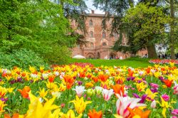 La magia del Castello di Pralormo, a primavera, con il giardino colmo di tulipani - © elitravo / Shutterstock.com