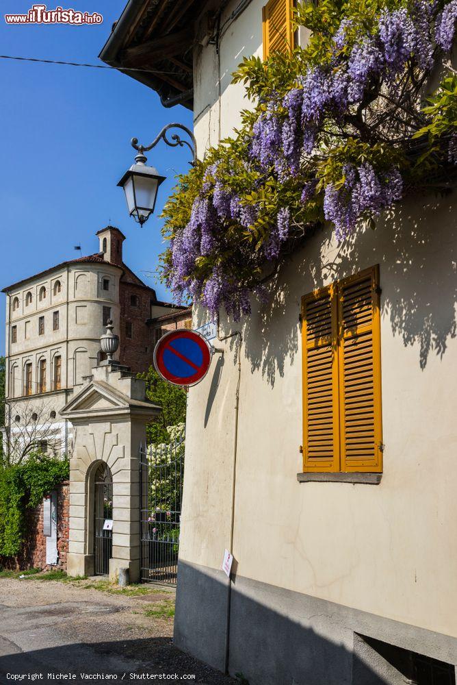 Immagine Una casa del centro di Pralormo con vista sul Castello. - © Michele Vacchiano / Shutterstock.com