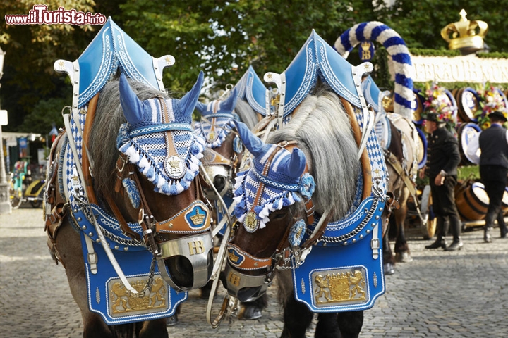 Cavallli Oktoberfest  - Foto München Tourismus/Frank Bauer