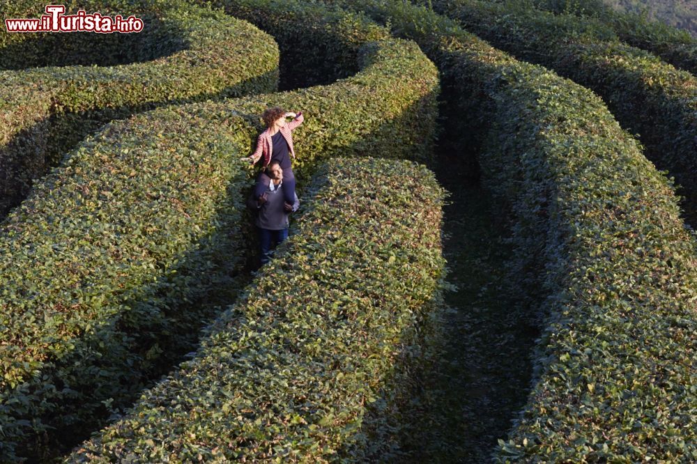 Immagine Il labirinto settecentesco del Castello di Masino in Piemonte - ©  FAI