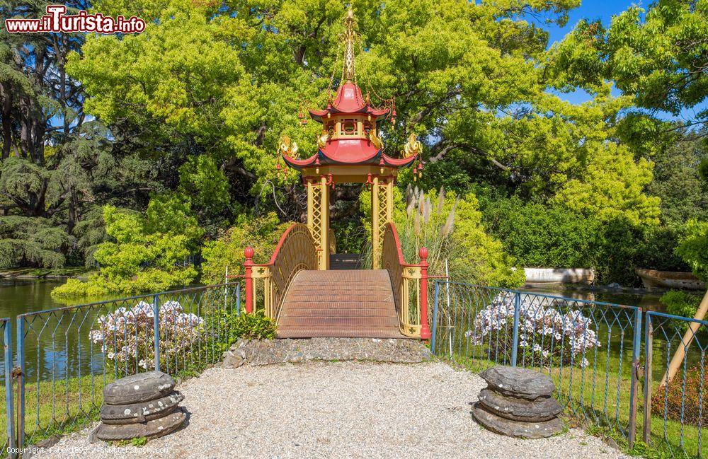 Immagine Il Ponte Cinese nel parco di Villa Durazzo-Pallavicini a Genoa Pegli, Liguria - © faber1893 / Shutterstock.com