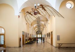 Una macchina di Leonardo esposta al Museo della Scienza e della Tecnica di Milano - © Viktor Gladkov / Shutterstock.com