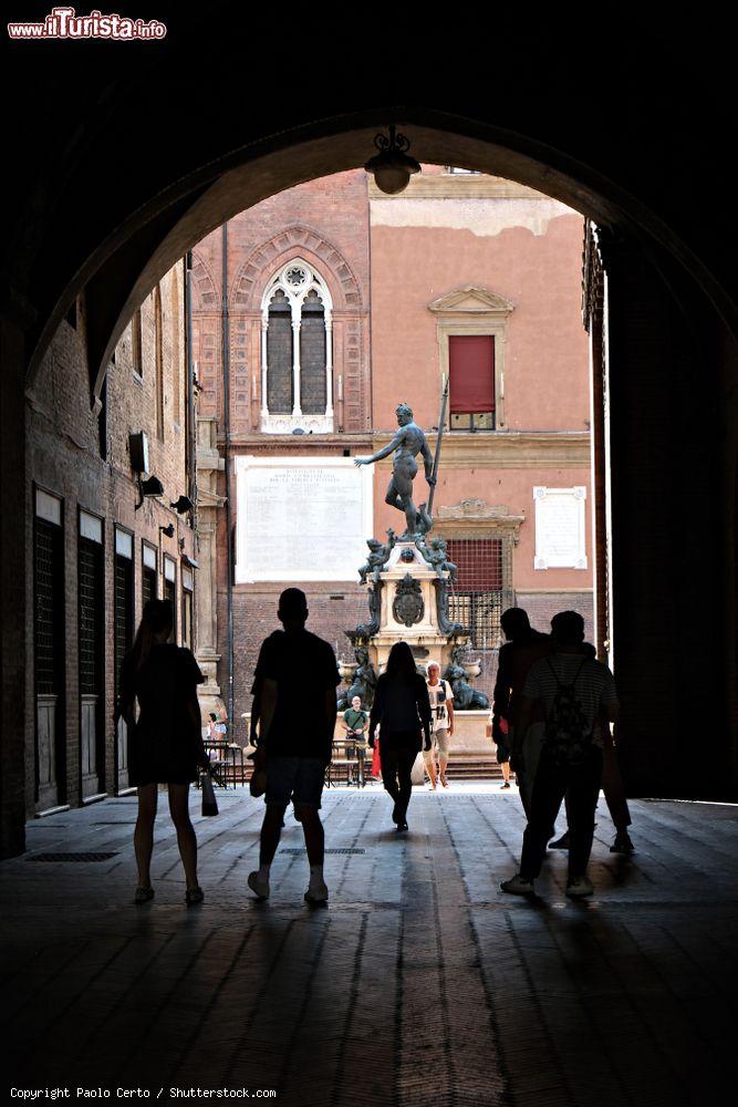 Immagine La galleria del Palazzo Re Enzo offre una prospettiva insolita della Fontana del Nettuno a Bologna - © Paolo Certo / Shutterstock.com