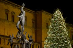 Natale a Bologna. Il grande albero vicino alla Fontana del Nettuno nel cuore cittadino