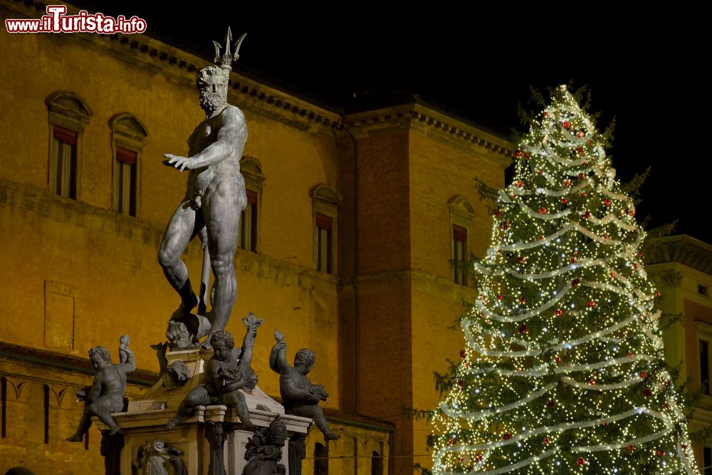Immagine Natale a Bologna. Il grande albero vicino alla Fontana del Nettuno nel cuore cittadino