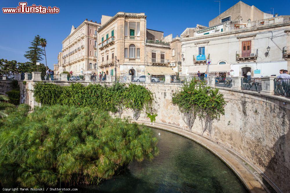 Immagine La vasca della Fonte Aretusa di Siracusa, Isola di Ortigia, Sicilia - © Marek Mosinski / Shutterstock.com