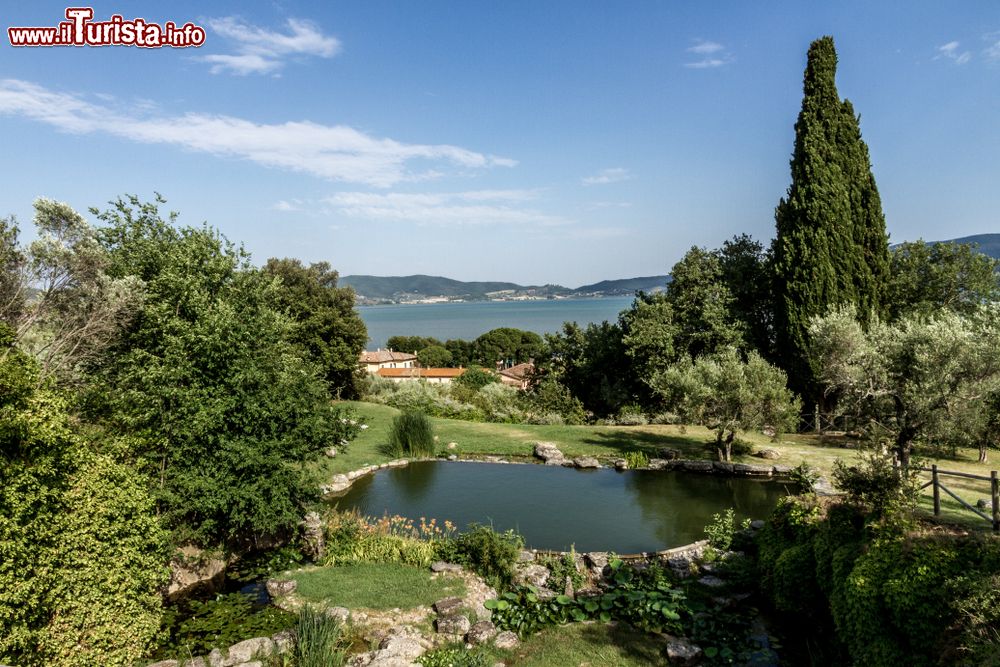 Immagine Il giardino delle piante acquatiche preso l'Isola Polvese sul Lago Trasimeno in Umbria