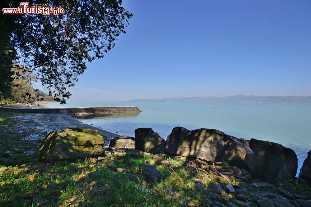 Immagine La costa dell'isola Polvese in Umbria, Lago Trasimeno