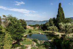 Il giardino delle piante acquatiche preso l'Isola Polvese sul Lago Trasimeno in Umbria
