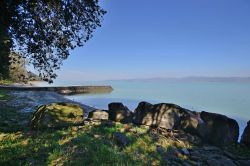 La costa dell'isola Polvese in Umbria, Lago Trasimeno