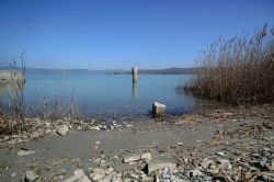 Una spiaggia sull'Isola Polvese in Umbria, Lago Trasimeno