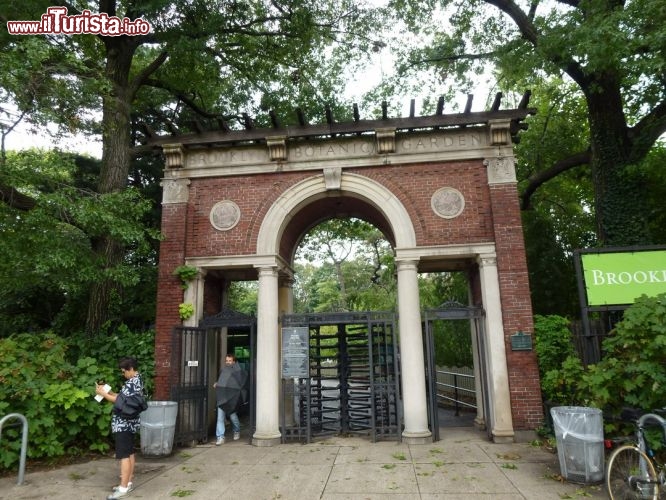 Brooklyn Botanic Garden