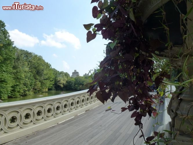 Il cuore verde del central park di new york