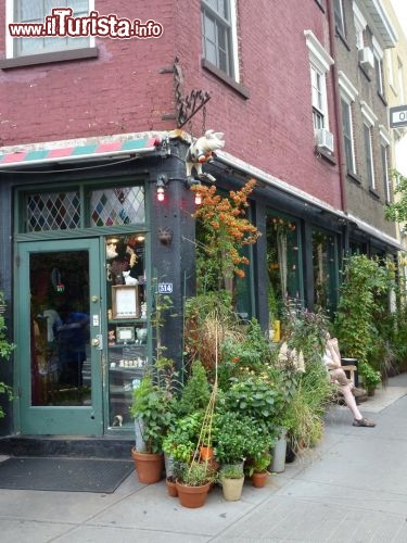 Spotted Pig a Greenwich Street, piccolo ristorante immerso in un angolo di verde non si svuota mai, ottime insalate!