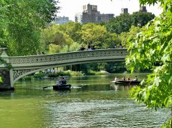 Bow bridge