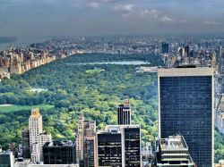 Central Park in una luce particolare