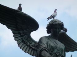 Particolare Bethesda Fountain