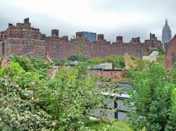 Da non perdere una passeggiata ad High Line  ...