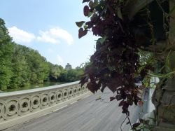 Il cuore verde del central park di new york