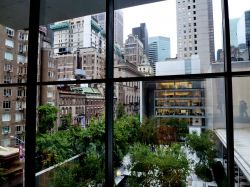 New york vista dalll'interno MoMa