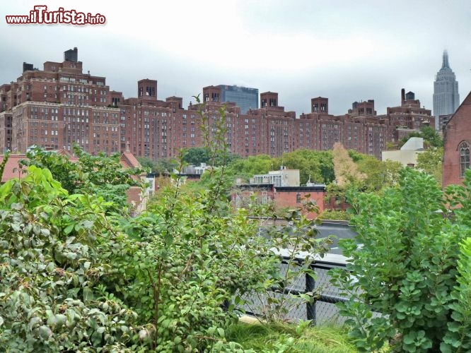 Da non perdere una passeggiata ad High Line  una ferrovia sopraelevata in disuso di New York ora ristrutturata e piena di verde.